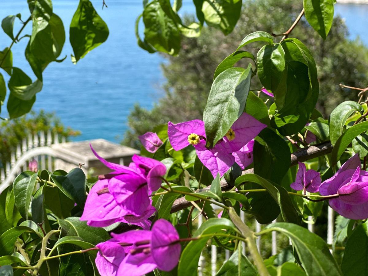 Villa Luxury Seaside With Indoor Pool, Sauna, Padle Boards, Canoe And Mediterranean Garden - Miolin House